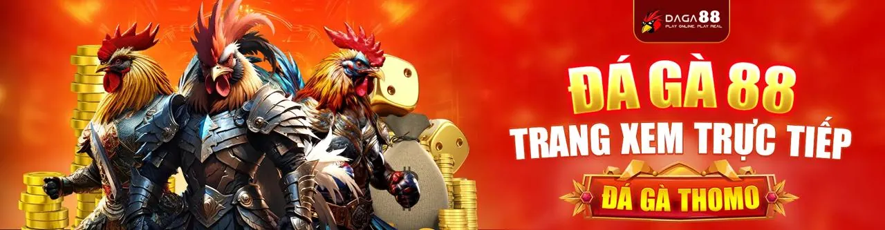 Đá gà trực tuyến kịch tính tại vf555 link mới nhất