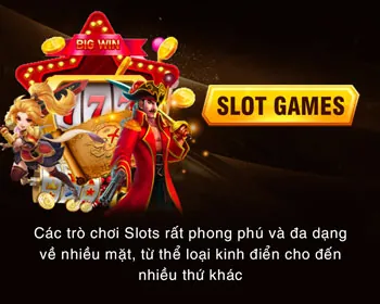 Ưu Đãi Hoàn Trả Cao Cấp vf555
